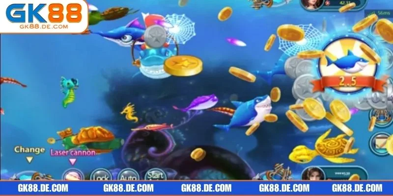 Cùng săn cá rùa xanh và những loài cá khủng trong không gian biển cả