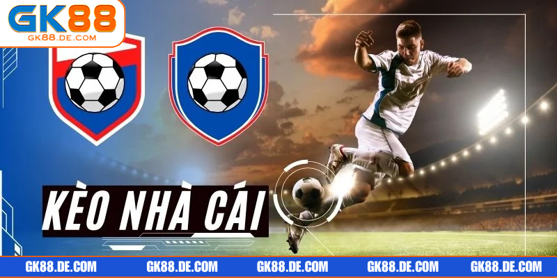 Điểm qua top loại hình phổ biến kịch tính hàng đầu hiện tại